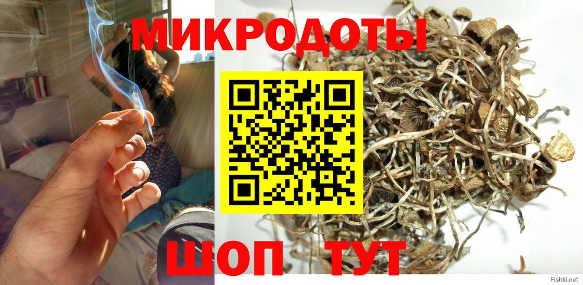 Галлюциногенные грибы ЛСД  Галлюциногенные грибы ЛСД  Шарыпово  Вход с VPN 